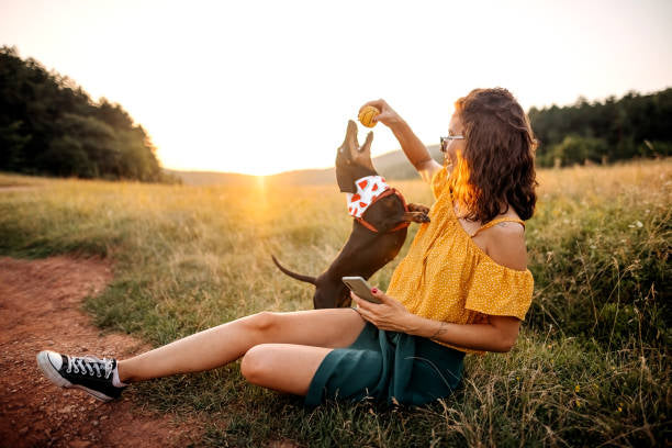 Tiques chez le chien : un danger caché à ne pas sous-estimer ! 🕷️🐶