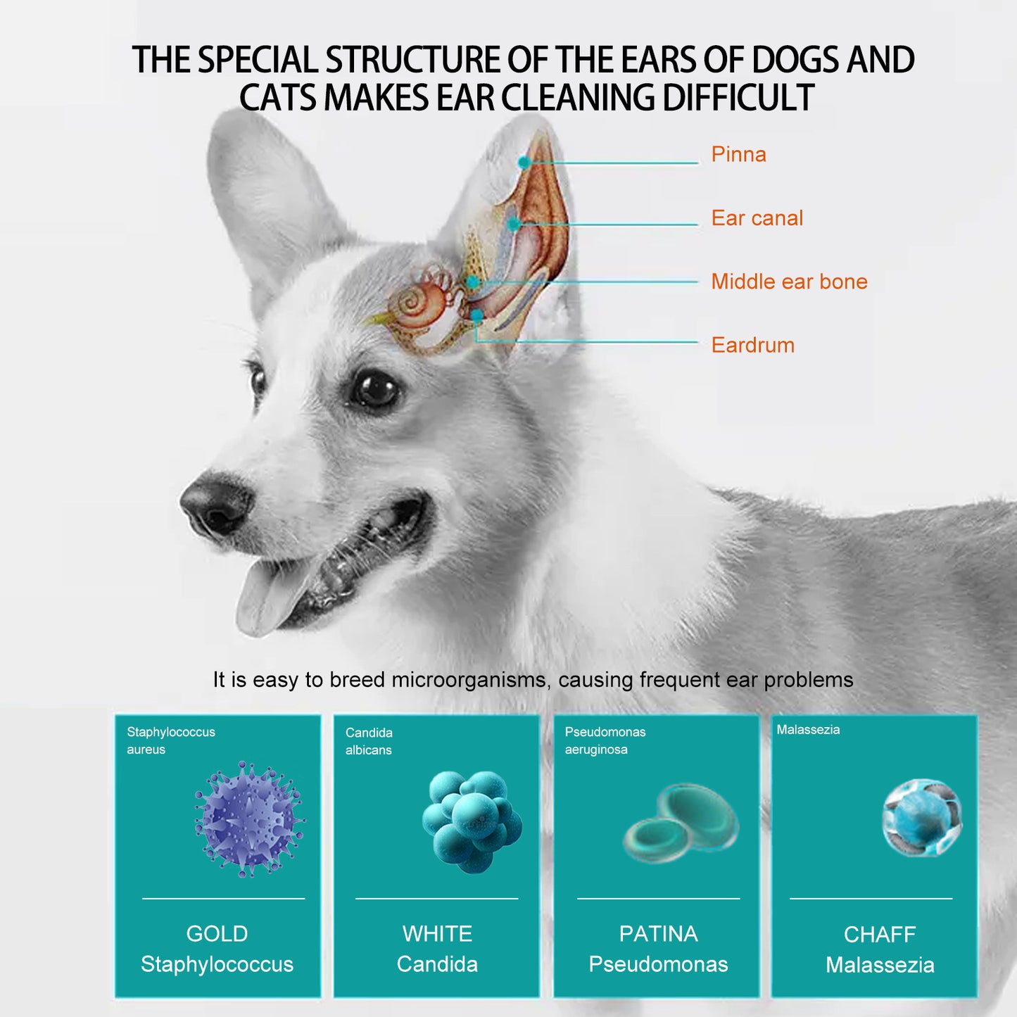 Gant/tampons de nettoyage pour les oreilles chien et chat