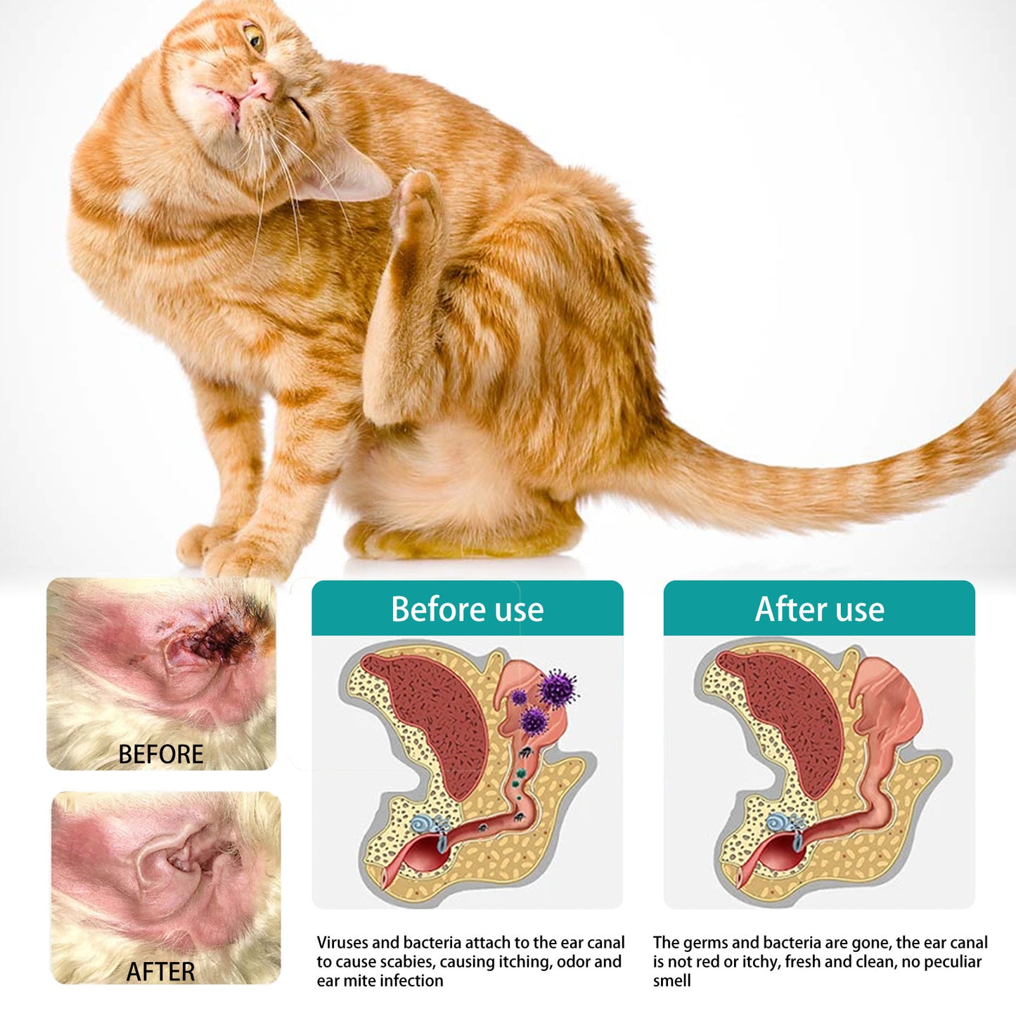 Gant/tampons de nettoyage pour les oreilles chien et chat