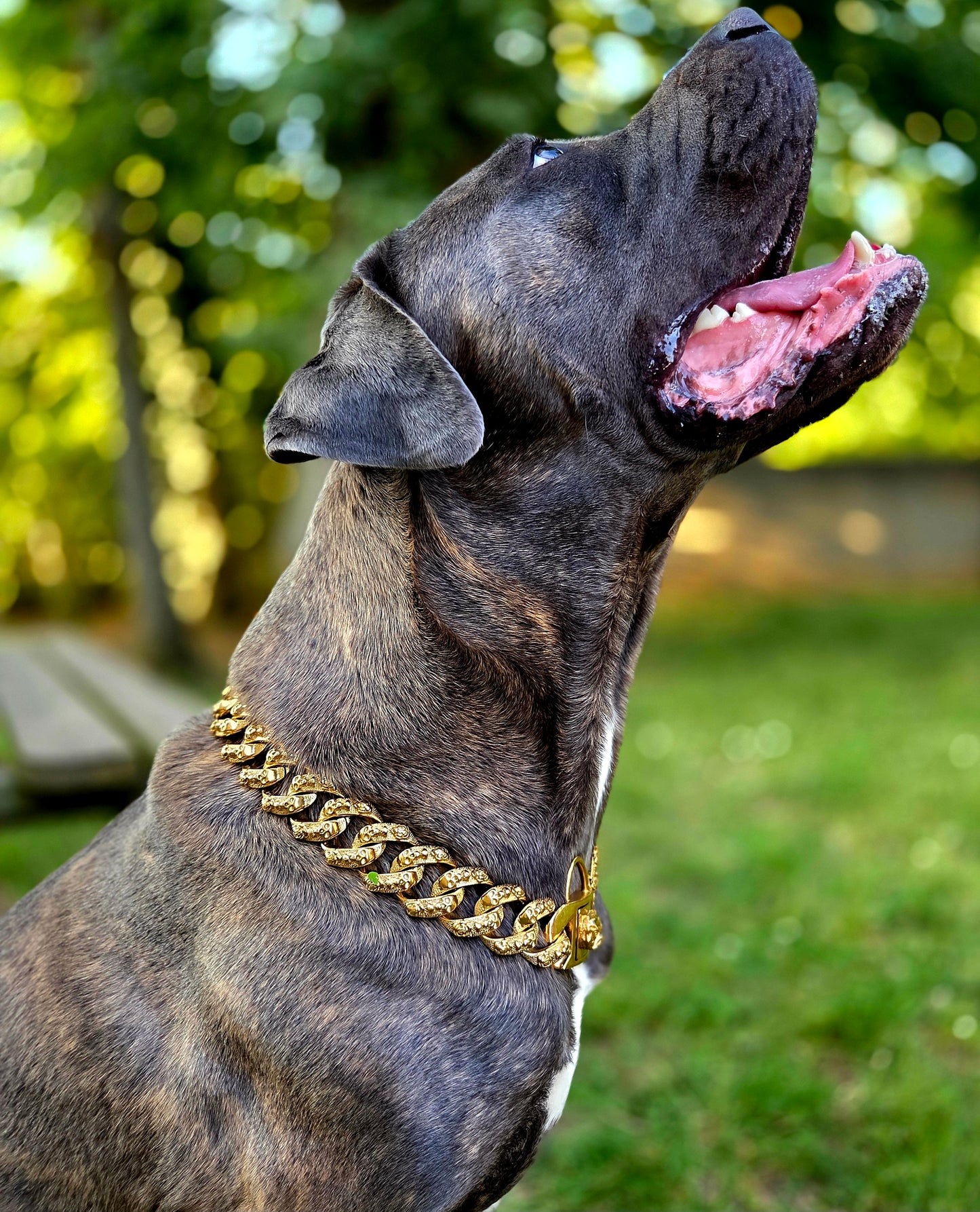 Collier 'Charisme Brut' - Acier Inoxydable de Prestige