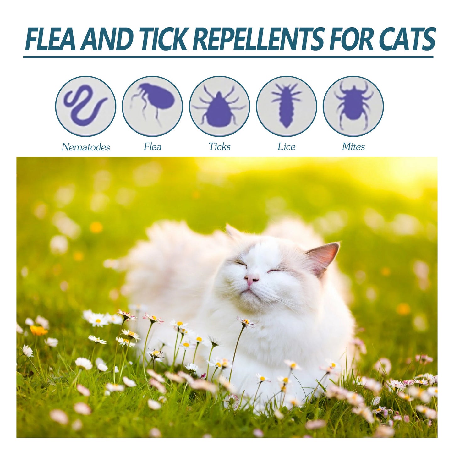 Spot-On Répulsif Naturel | antiparasite