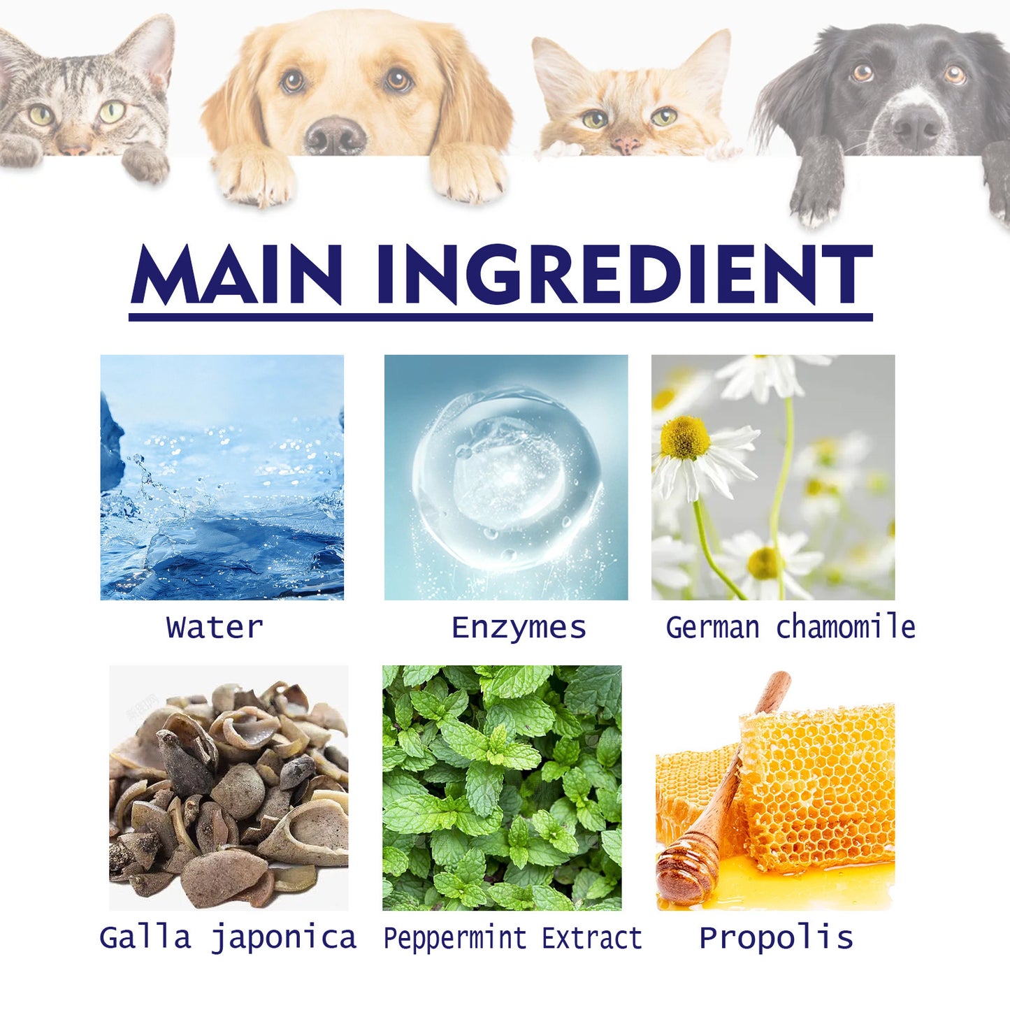 Dentifrice Soin Complet pour Chiens – 50 g