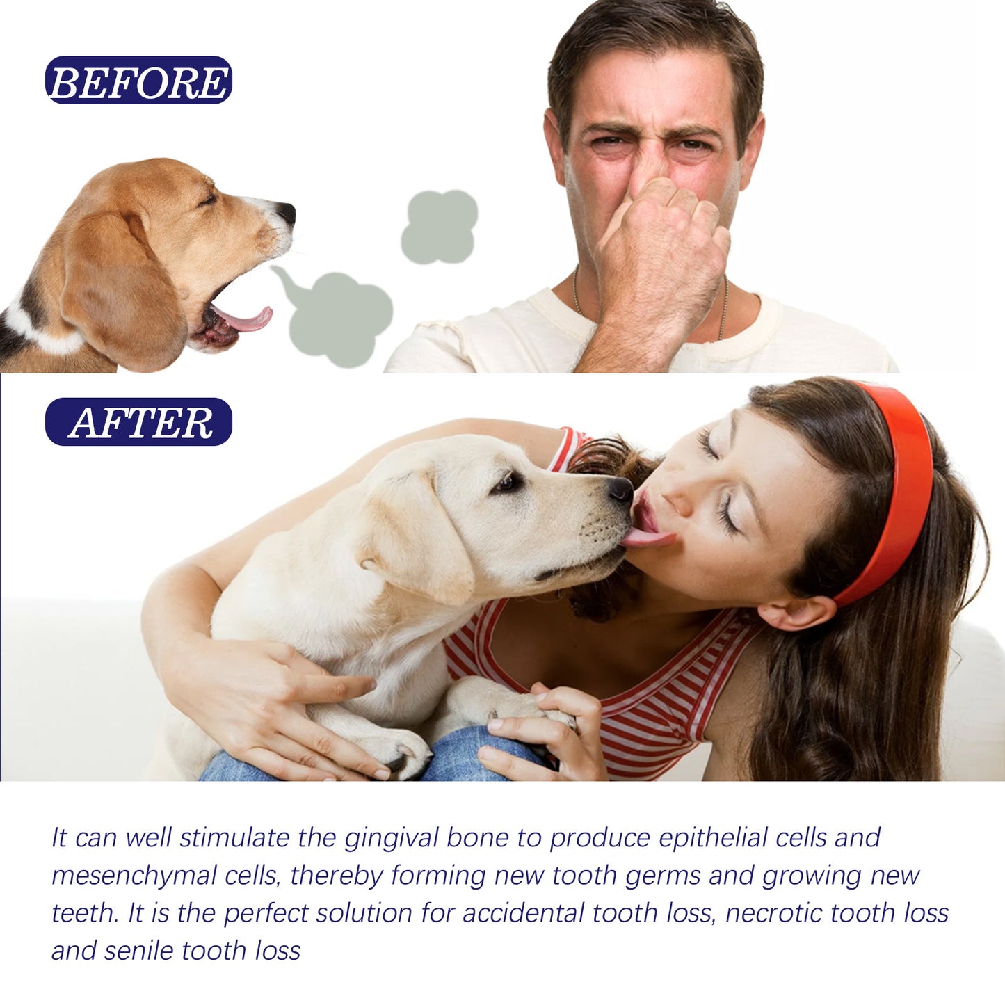 Dentifrice Soin Complet pour Chiens – 50 g
