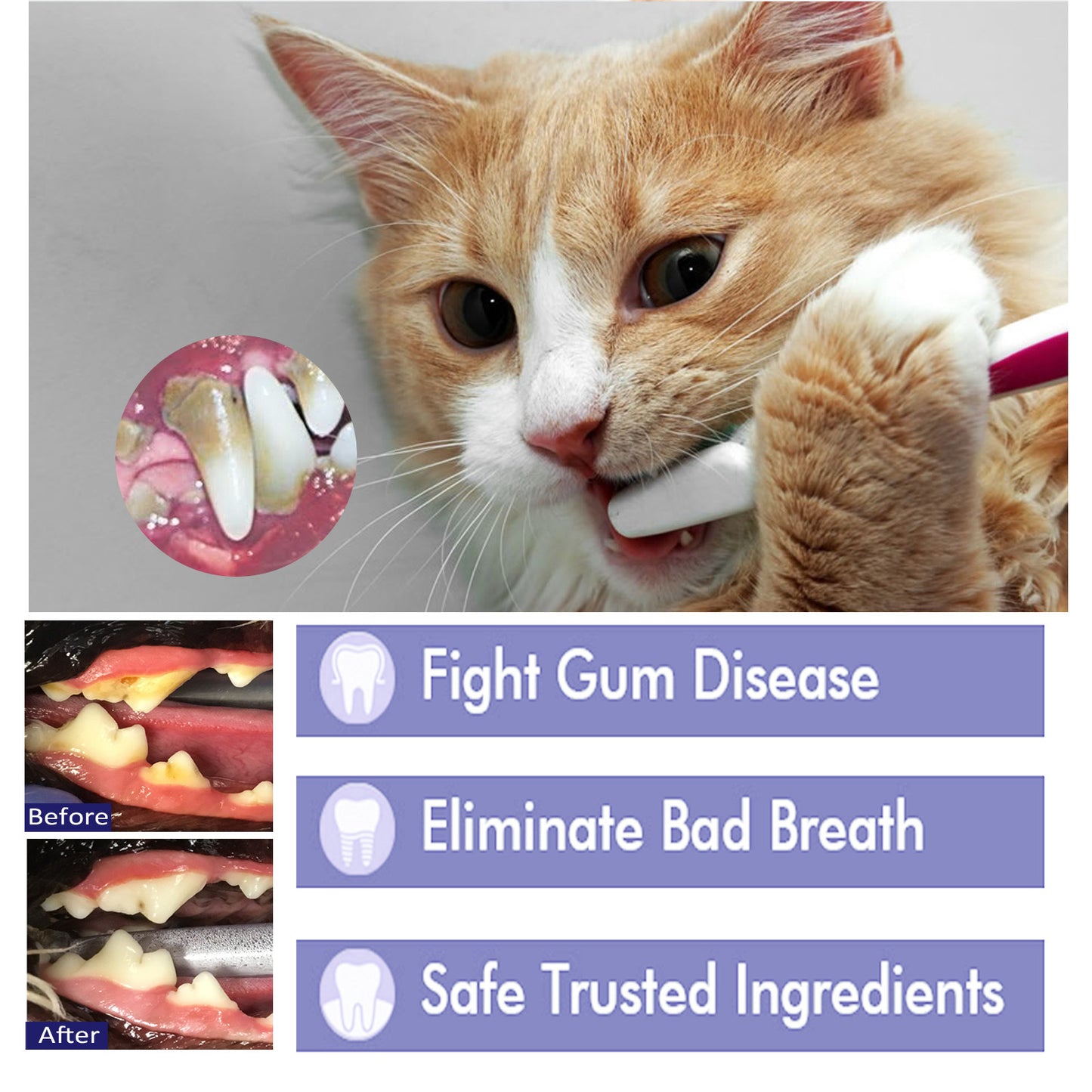 Dentifrice Soin Complet pour Chiens – 50 g