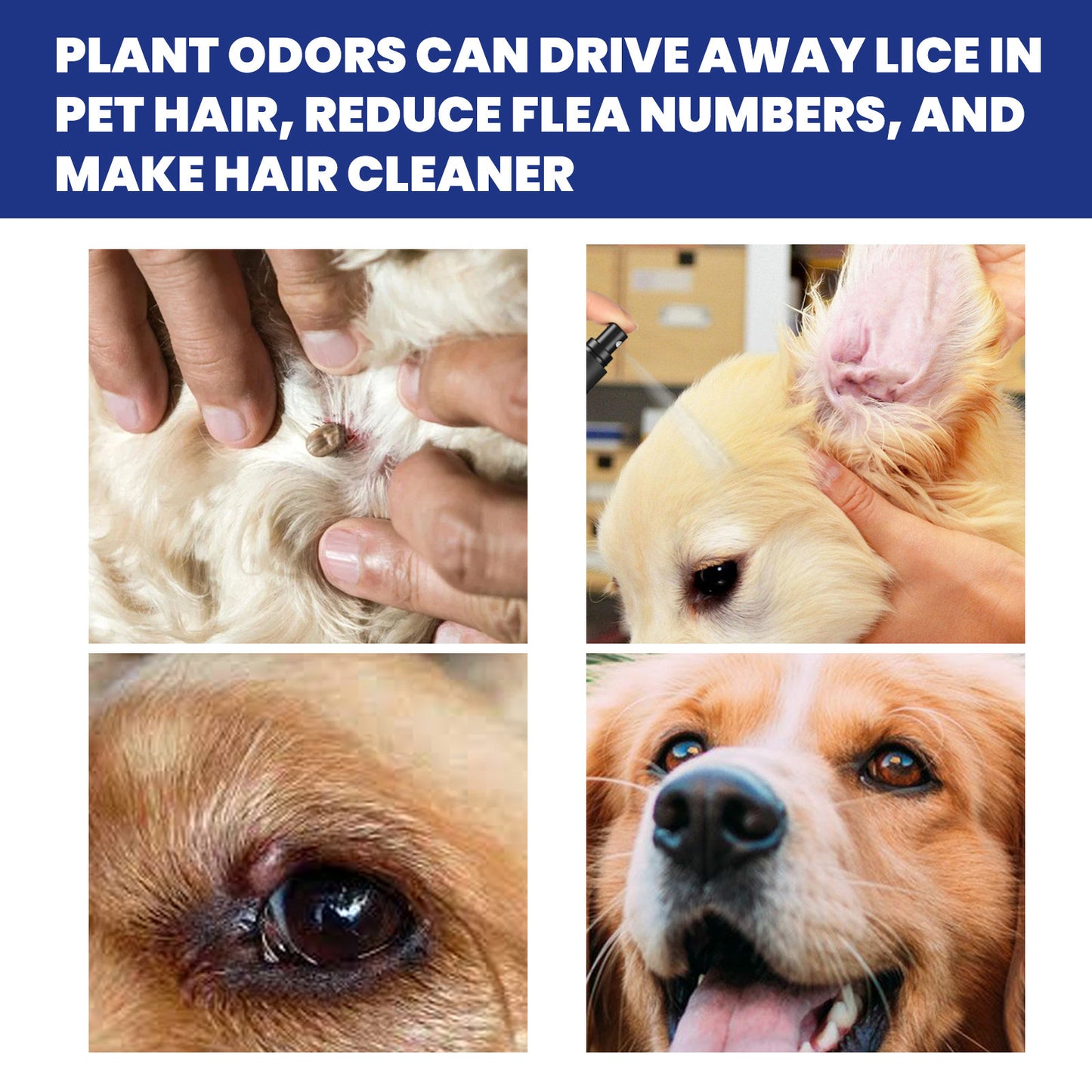 Flea Spray with Essential Oils - Natural, Effective and Elegant