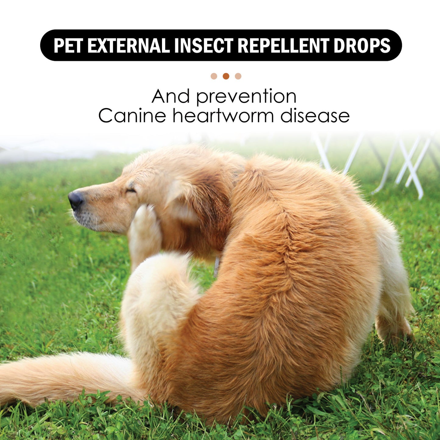 Gouttes Antiparasitaires Spot-On | antiparasite