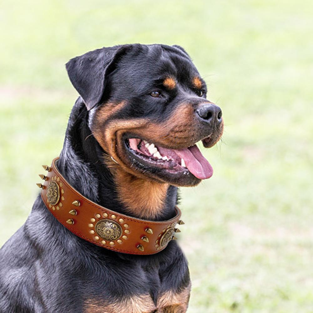 Collier robuste en cuir véritable – Design à pointes pour chien puissant