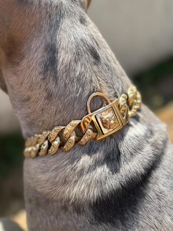 Collier 'Charisme Brut' - Acier Inoxydable de Prestige
