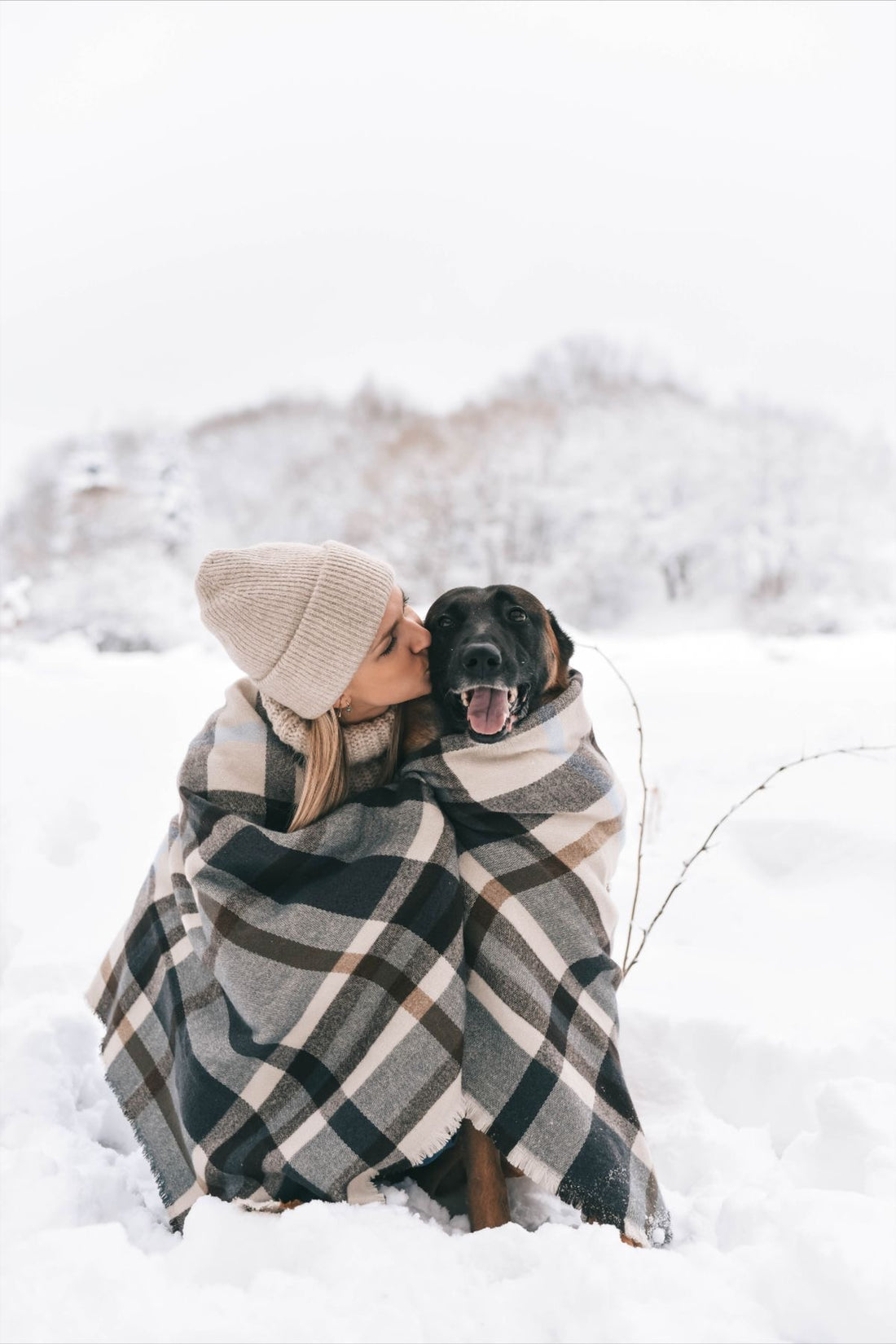 Doudoune pour grand chien: Élégance et confort pour un hiver douillet