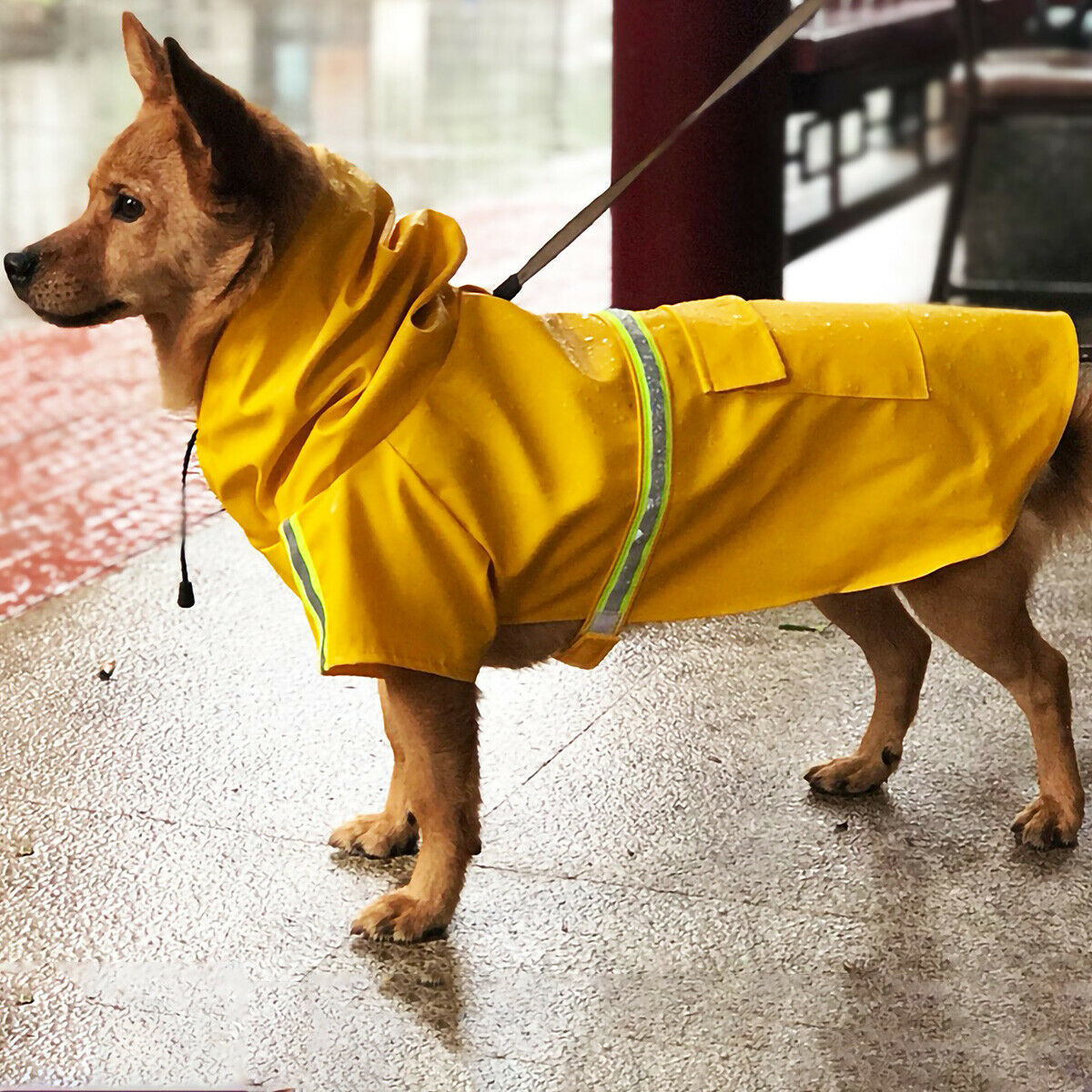 Veste de Pluie Impermeable pour Chien - Élégance et Protection