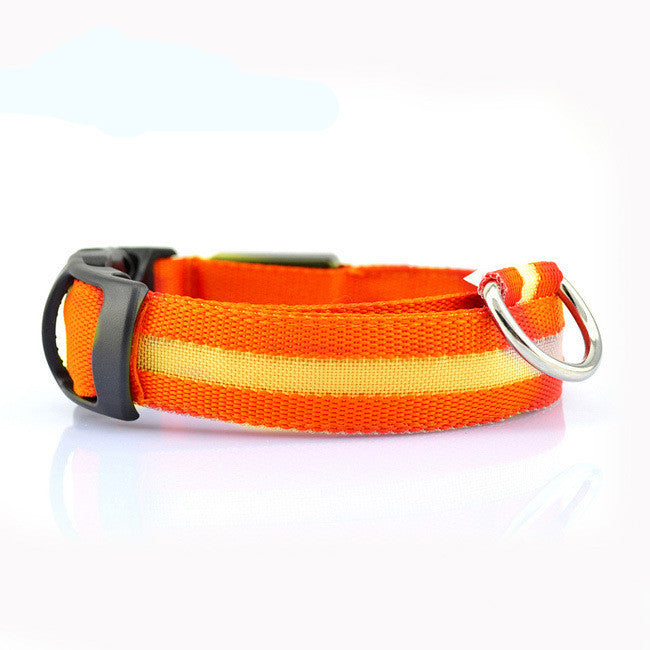 Collier Lumineux Premium pour Chien – Sécurisez Vos Promenades Nocturnes avec Style