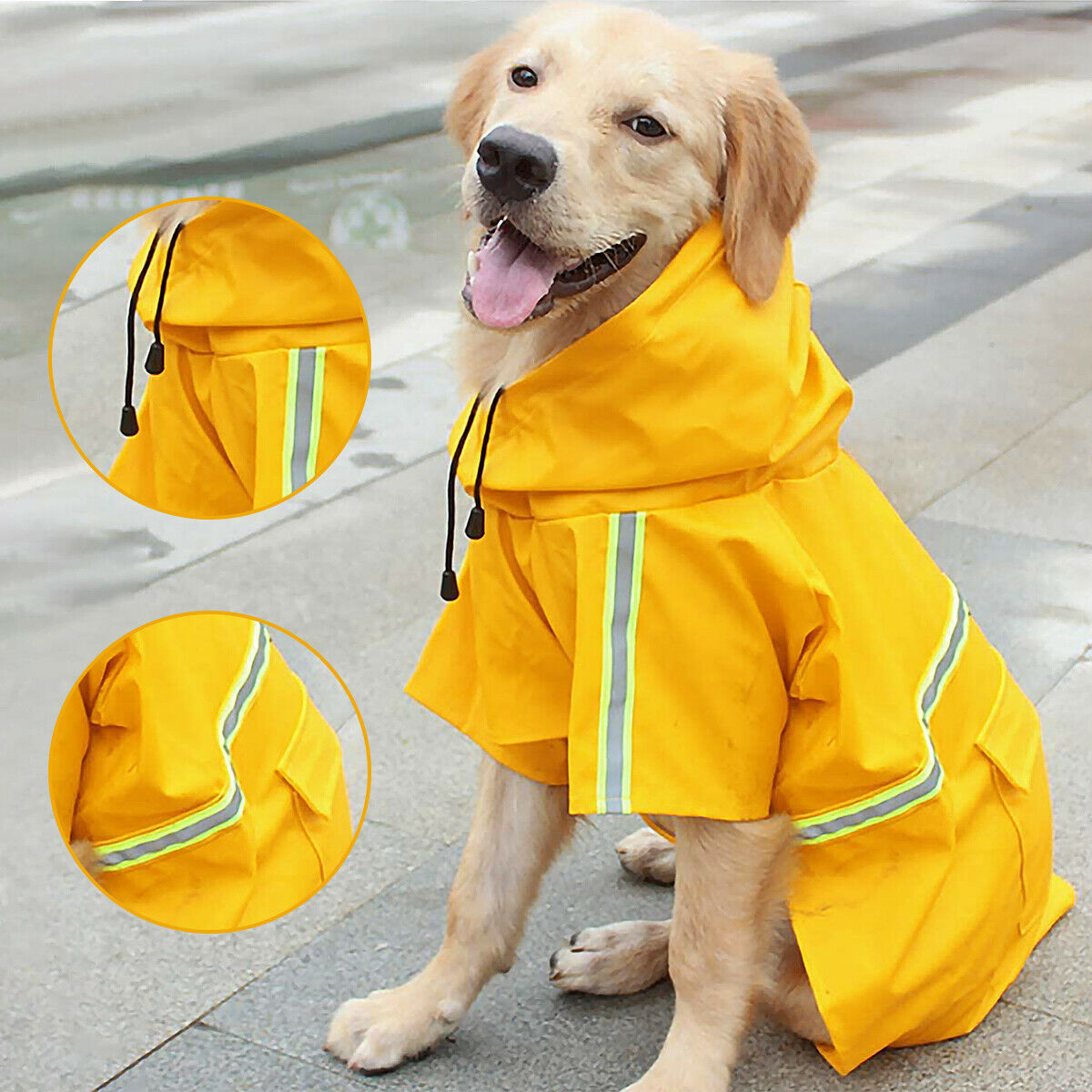 Veste de Pluie Impermeable pour Chien - Élégance et Protection