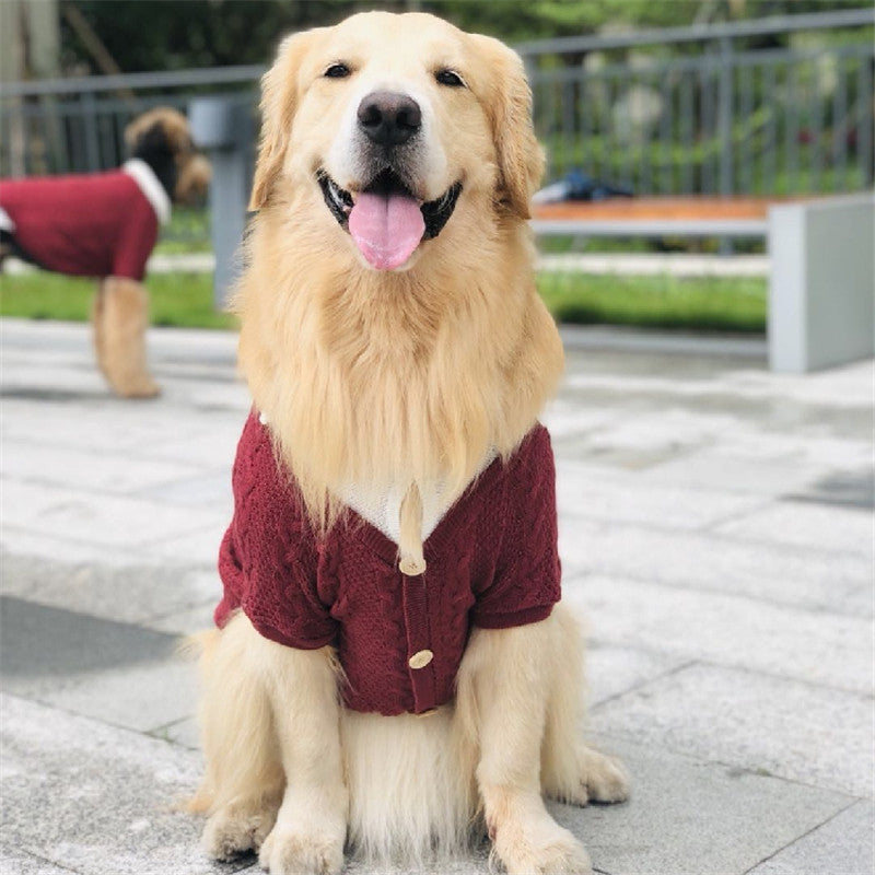 Cardigan vêtements pour chiens