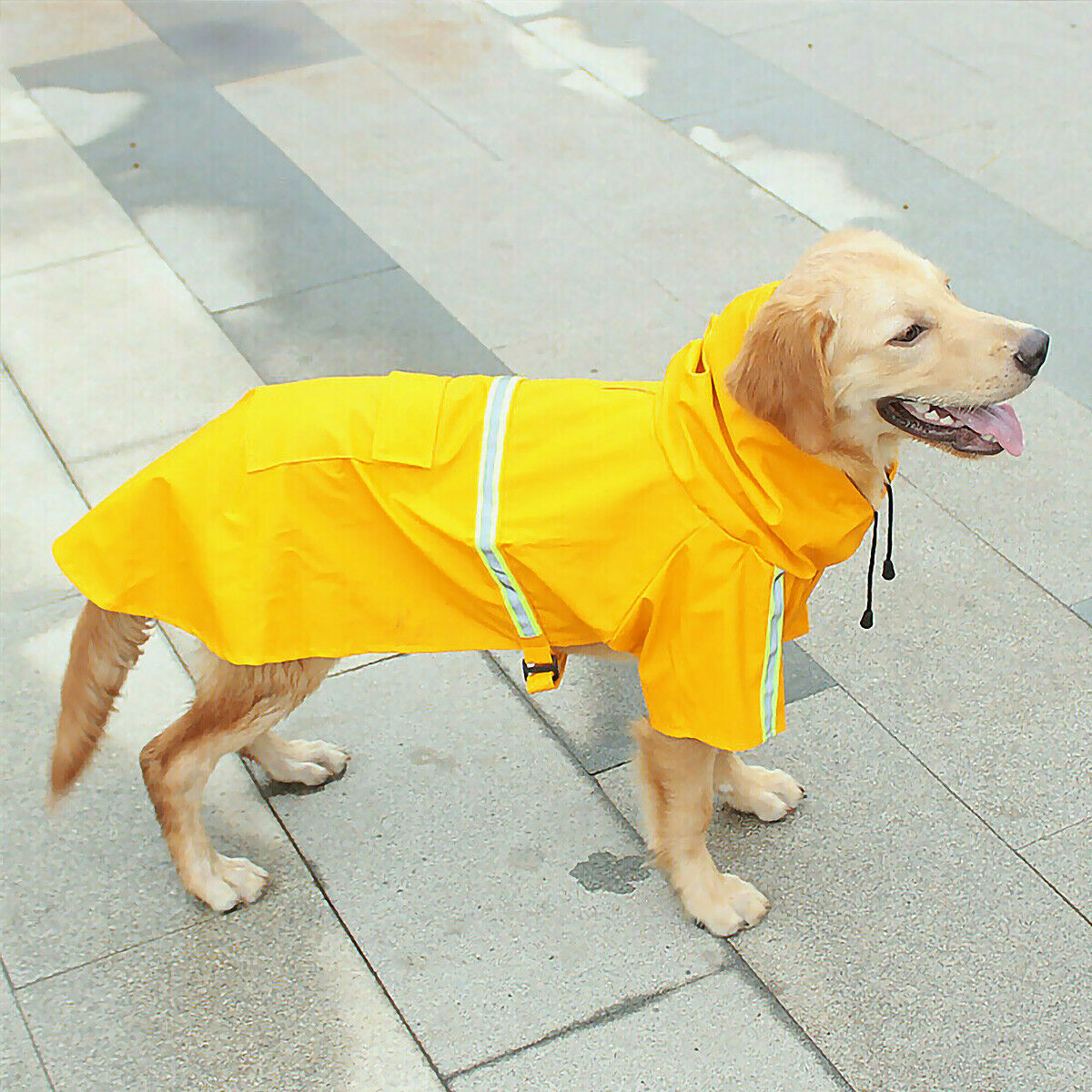 Veste de Pluie Impermeable pour Chien - Élégance et Protection