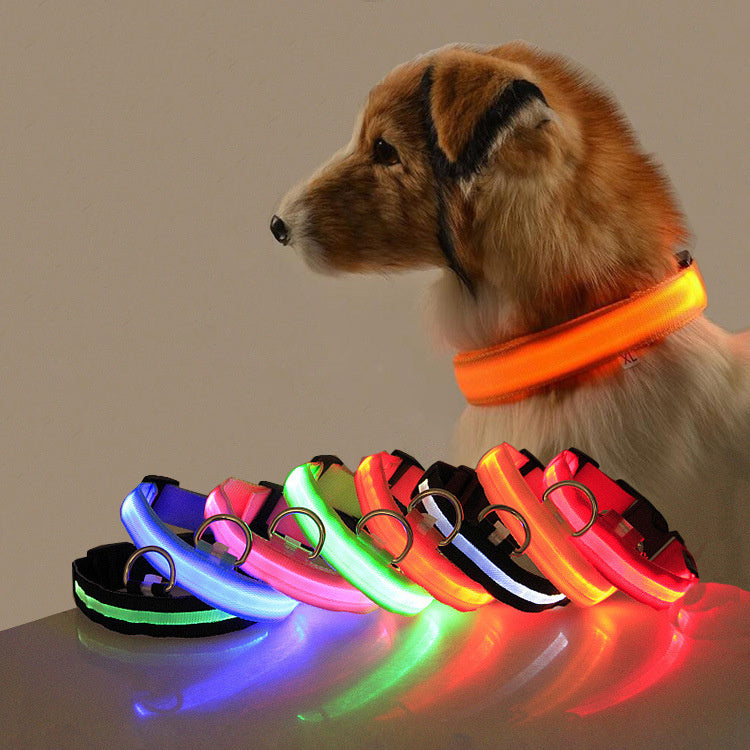 Collier Lumineux Premium pour Chien – Sécurisez Vos Promenades Nocturnes avec Style