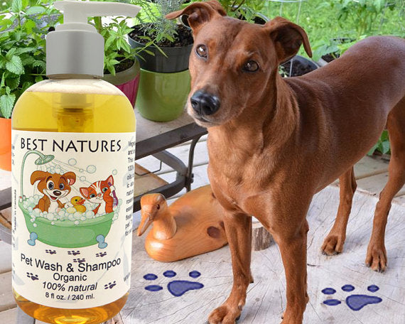 Shampoing naturel pour chien et chat